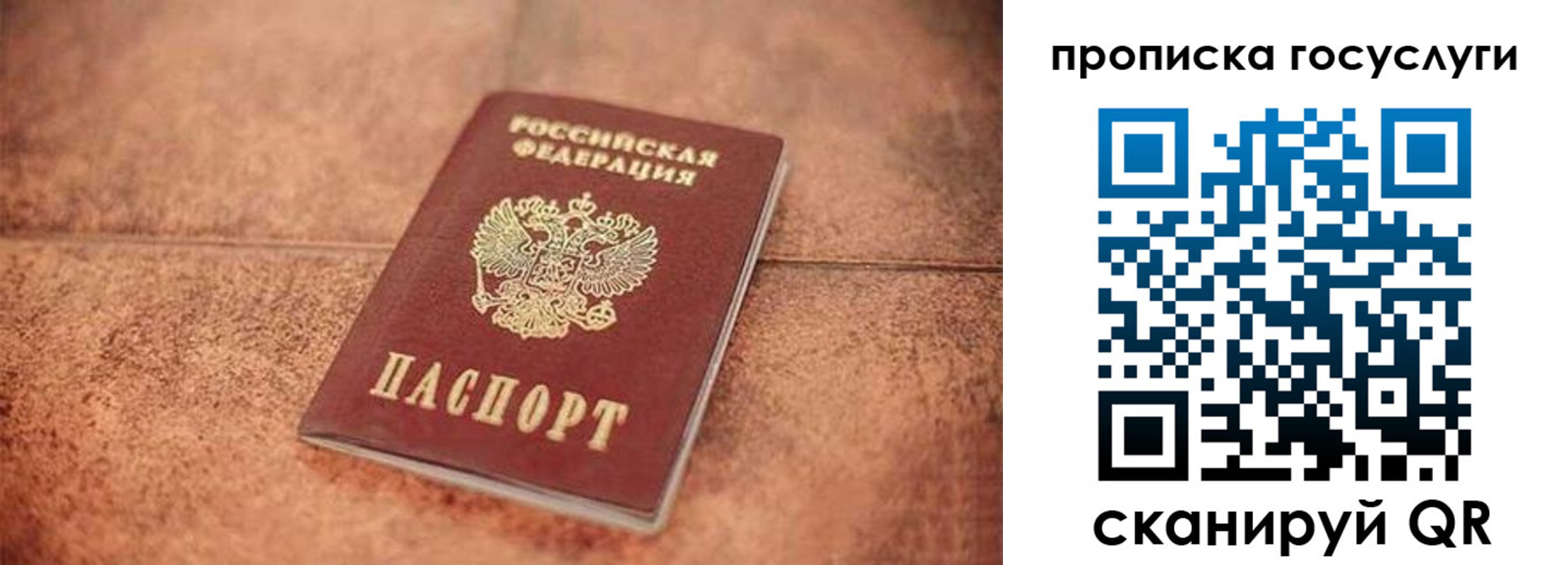 прописка законно в Камешково